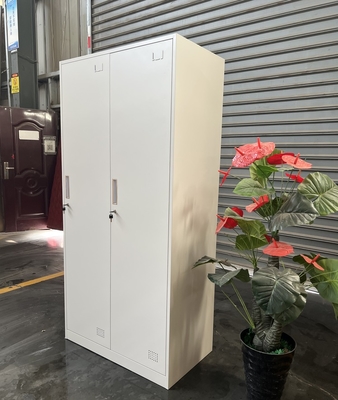 Heavy Duty Cabinet with Double Door Garage Storage Cabinet for Workshop, Office Building
