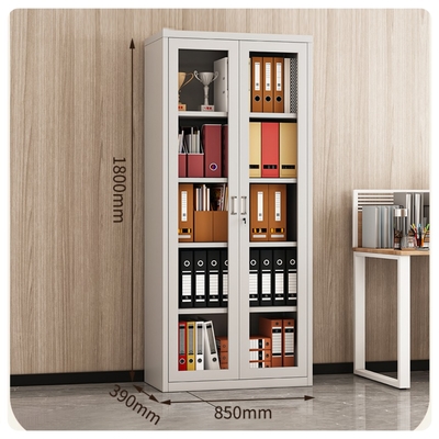 Modern Full-Glass Storage Metal File Cabinet with 2-Swing Glass Door for Office Home School Outdoor Living Room Gym Hospital Use