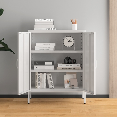2-Door Metal Locker Style Accent Storage Cabinet Living Room Cabinets Reinforced Glass Doors Adjustable Shelving Home Furniture