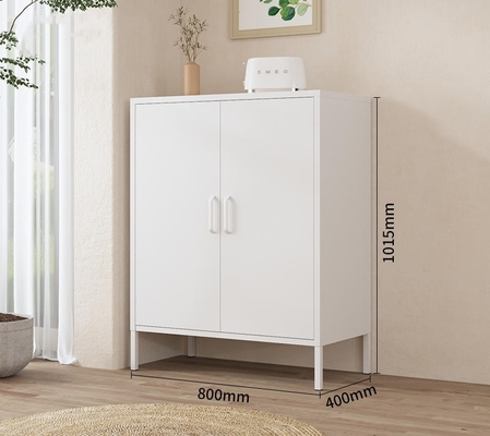 2-Door Metal Locker Style Accent Storage Cabinet Living Room Cabinets Reinforced Glass Doors Adjustable Shelving Home Furniture